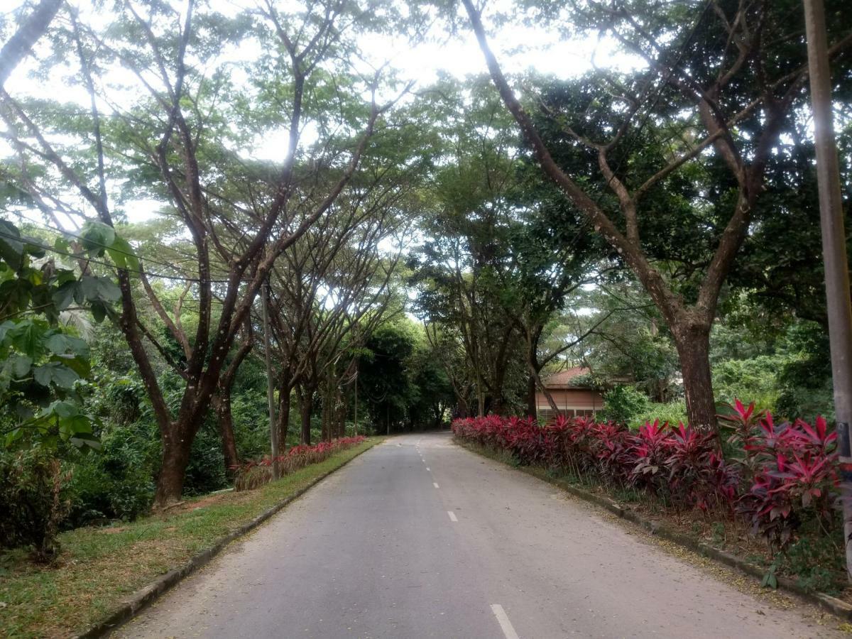 Janaview Taiping Hotel Bagian luar foto