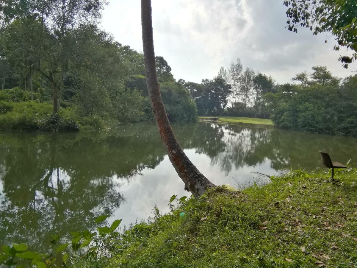 Janaview Taiping Hotel Bagian luar foto